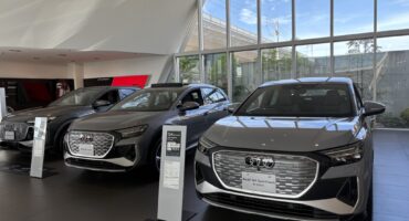 【✨12月突入！冬の期間限定お茶菓子のご紹介🔔】