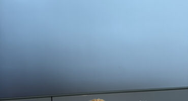 ✨【秋色に染まる高松から…アウディ高松に“新作ベア”登場！】✨