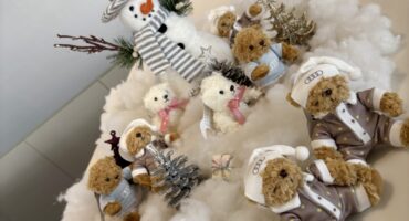 【冬のアウディベア新作が登場🧸✨この冬イチオシ🧡】