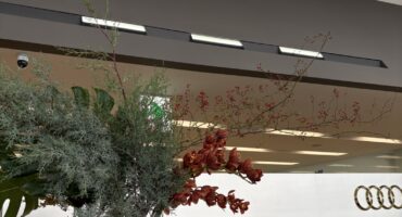 【❄️🌿 冬の気配を感じるショールーム 🌿❄️】