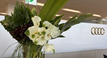 今週のお花のご紹介！